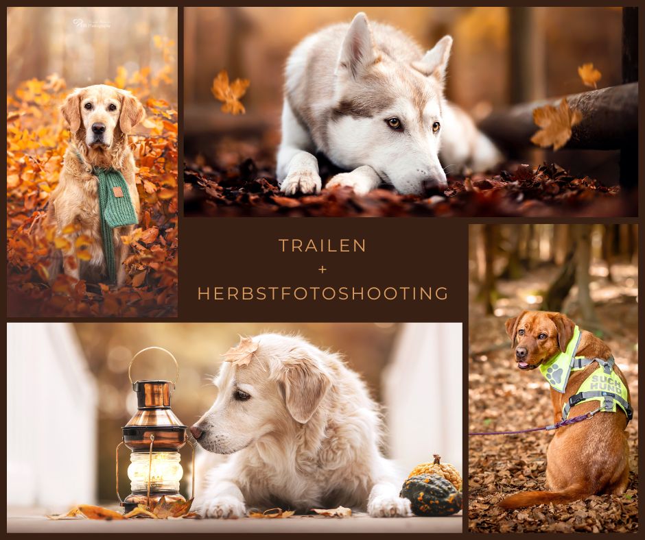 Trailen und Herbstfotoshooting